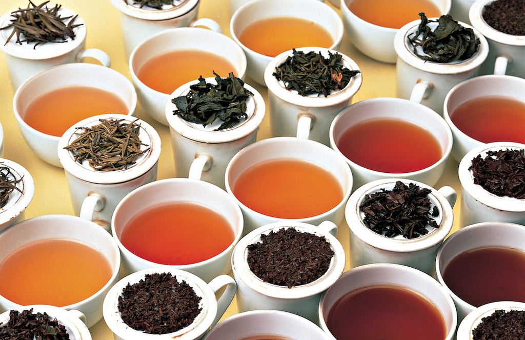 Paromi Tea